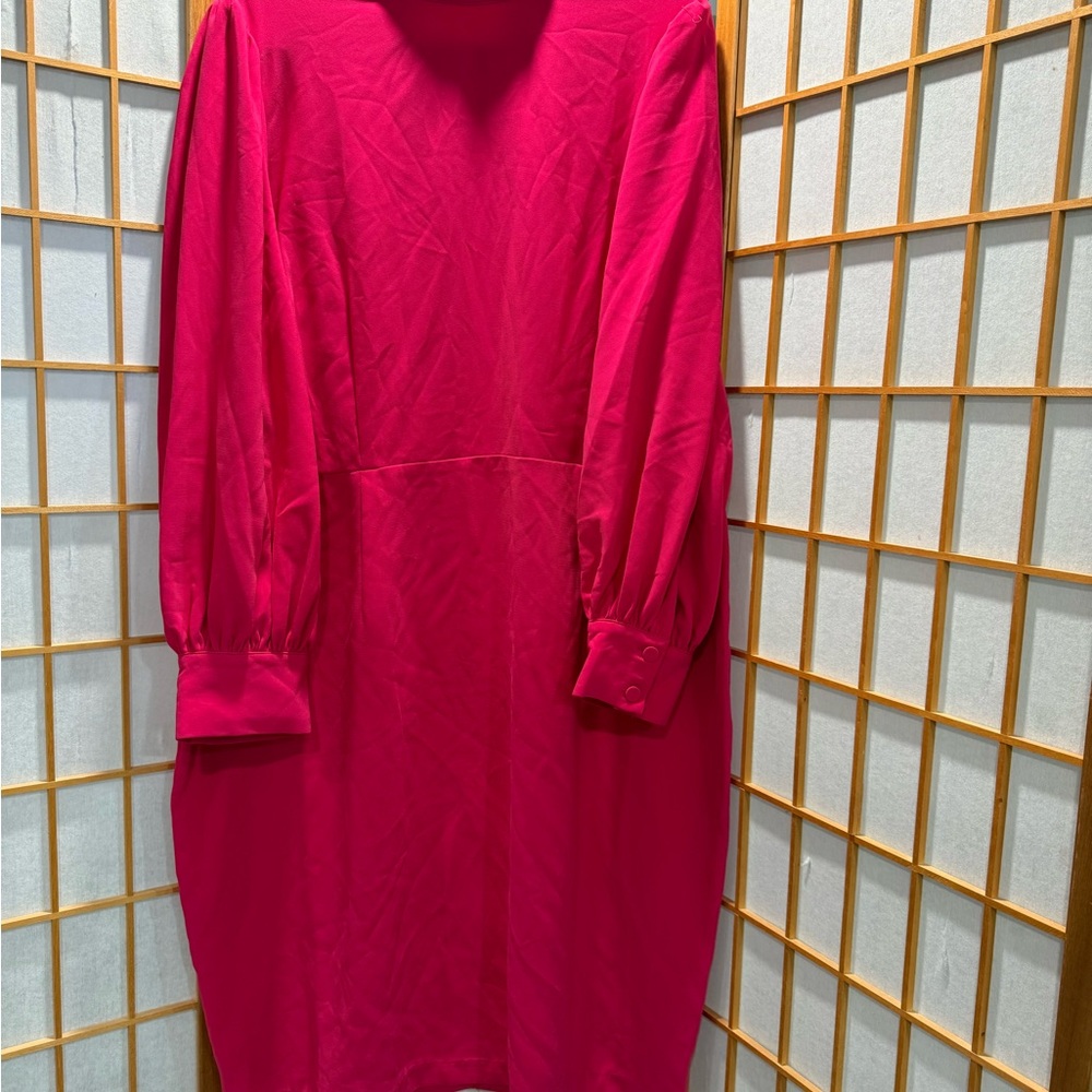 Chic Fuchsia Long Sleeve Dress